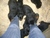 Offspring B